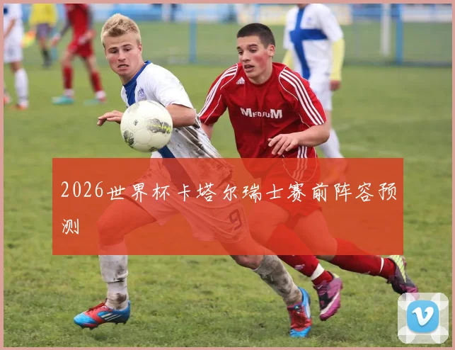 2026世界杯卡塔尔瑞士赛前阵容预测