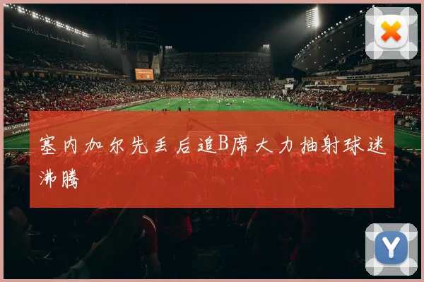 塞内加尔先丢后追B席大力抽射球迷沸腾