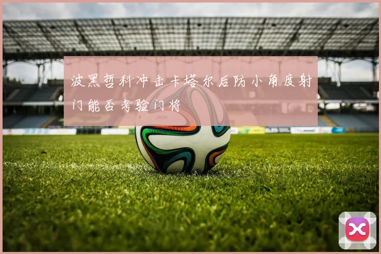 波黑哲科冲击卡塔尔后防小角度射门能否考验门将