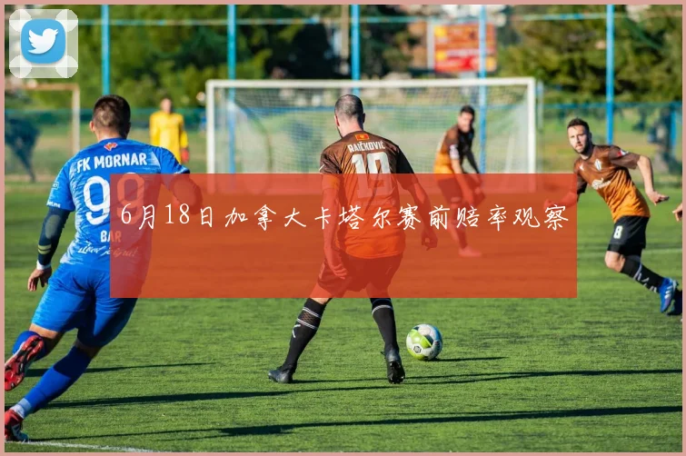6月18日加拿大卡塔尔赛前赔率观察
